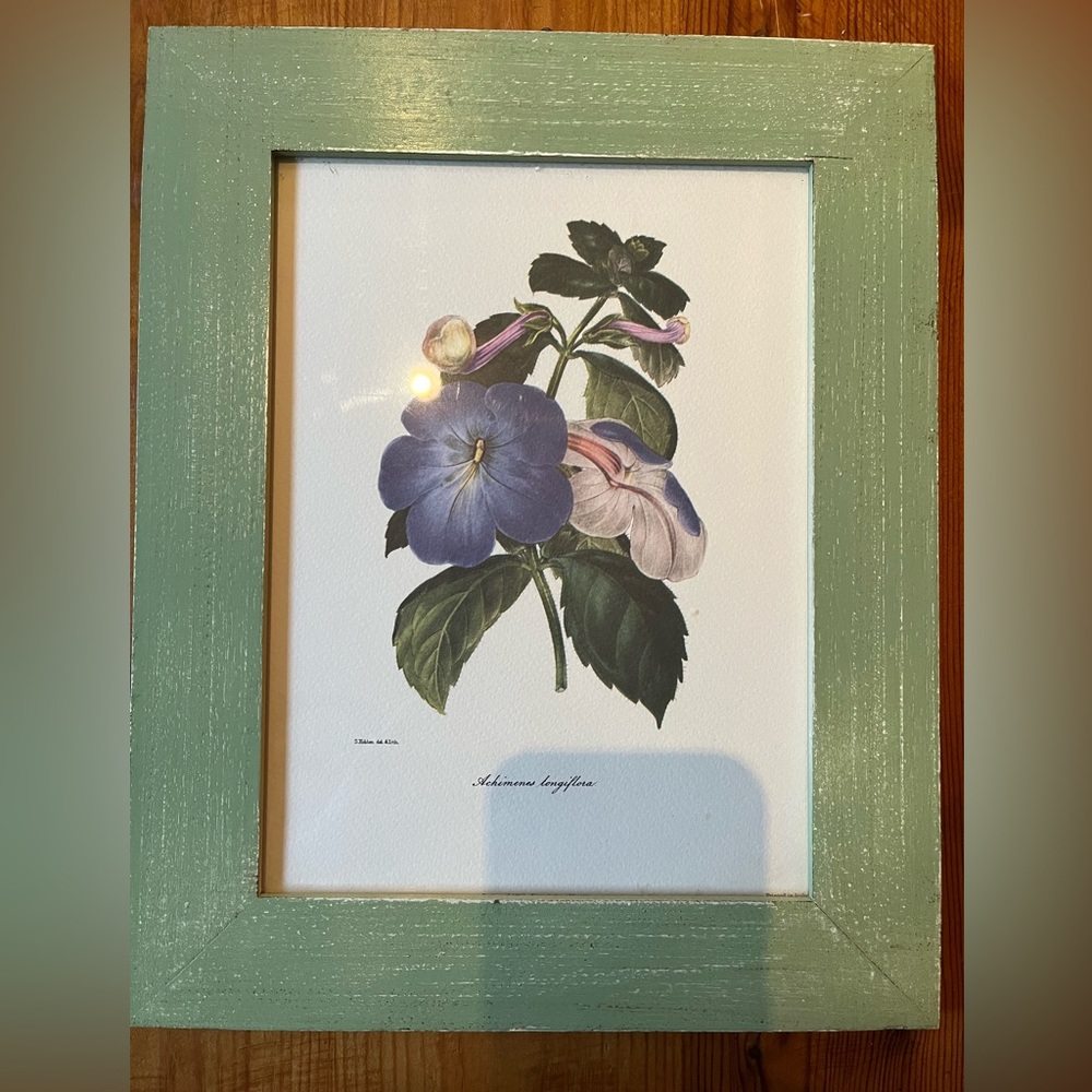 2 botanical Prints